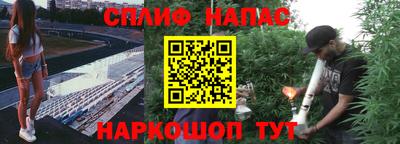 стафф Мариинск