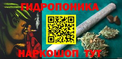 стафф Мариинск