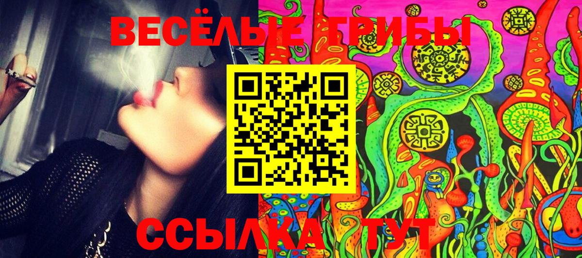 Галлюциногенные грибы Psilocybine cubensis Зима