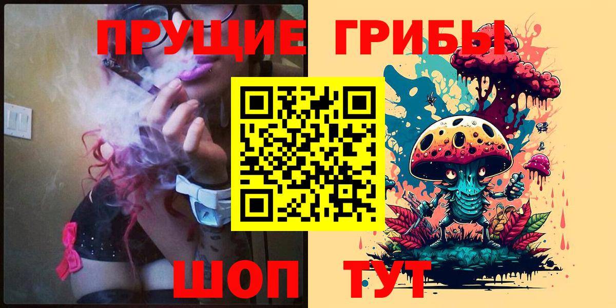 Зима  Псилоцибиновые грибы GOLDEN TEACHER  где купить наркоту  Вход с VPN 